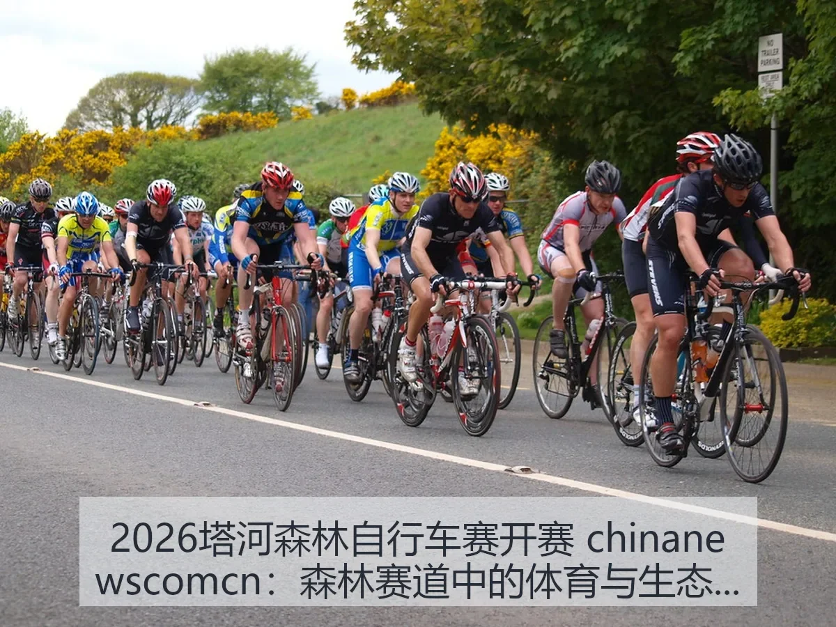 2026塔河森林自行车赛开赛:森林赛道中的体育与生态观察
